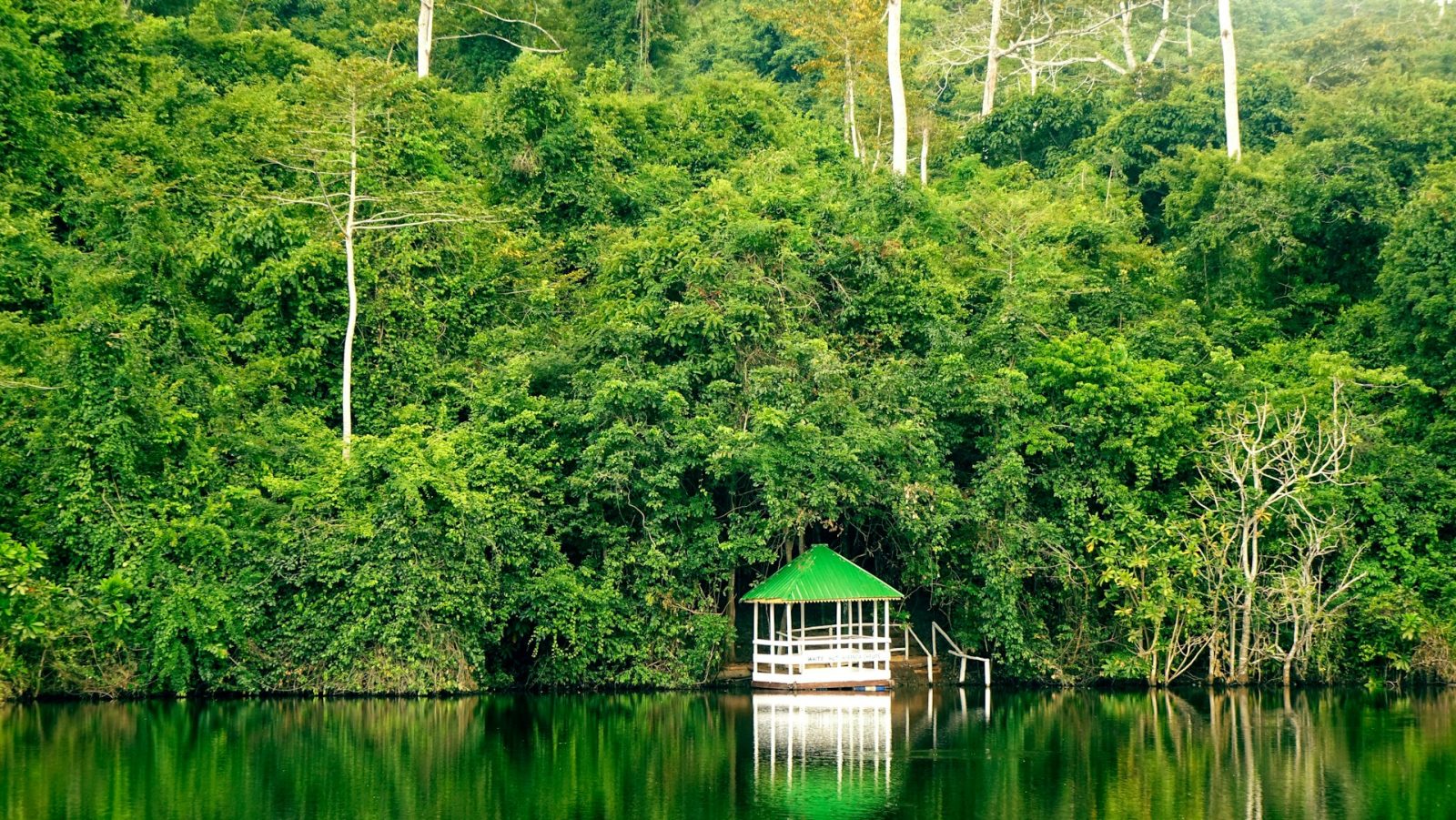 1-Day Pugu Hills Forest Day Tour from Dar Es Salaam gallery image
