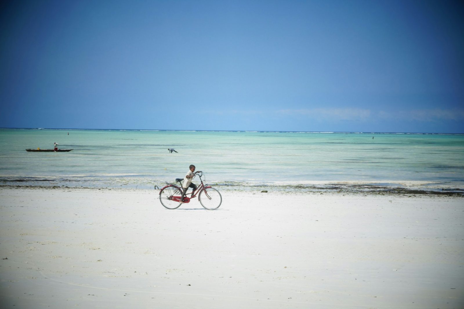 1-Day Zanzibar Salaam Cave Turtle Swim with Entry Fee gallery image