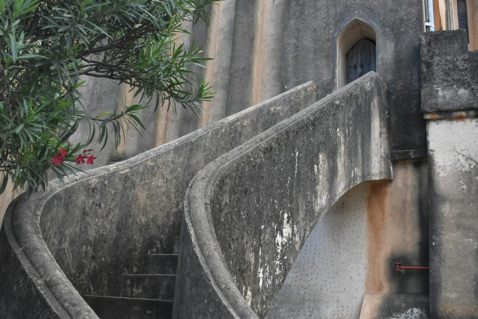 1-Day Zanzibar Stone Town Tour and Mangrove Kayaking gallery image