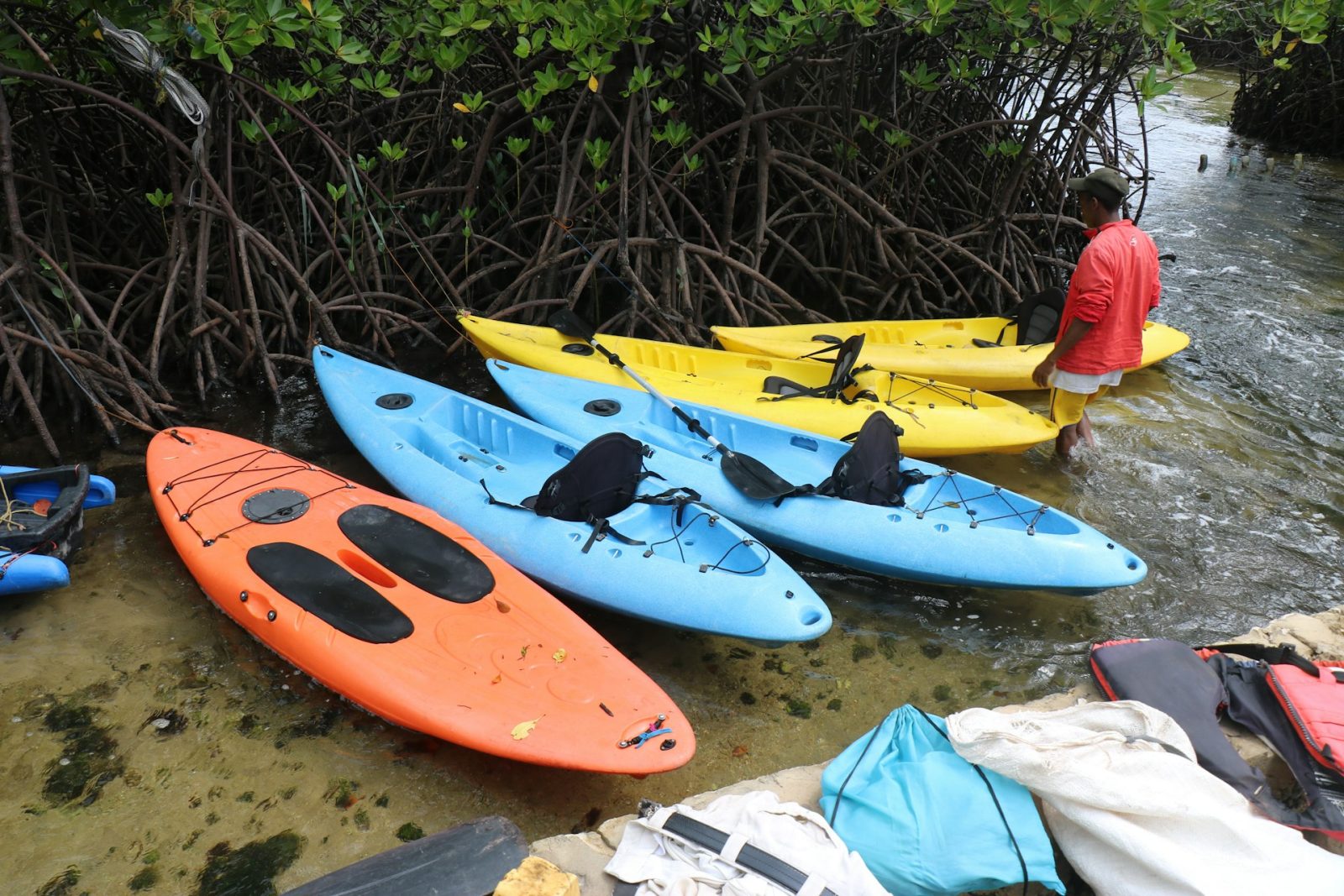 1-Day Zanzibar Mangrove Kayaking and Uzi Village Tour
