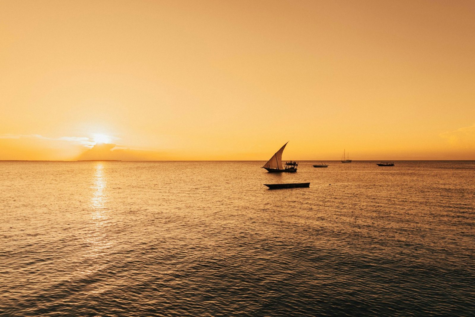1-Day Zanzibar Mangrove Kayaking and Uzi Village Tour gallery image
