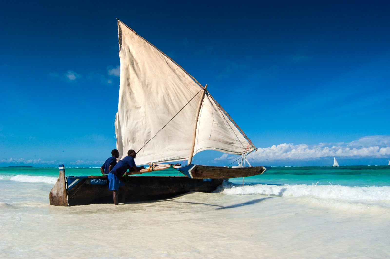 1-Day Zanzibar Mnemba Island, Jozani Forest and The Rock gallery image