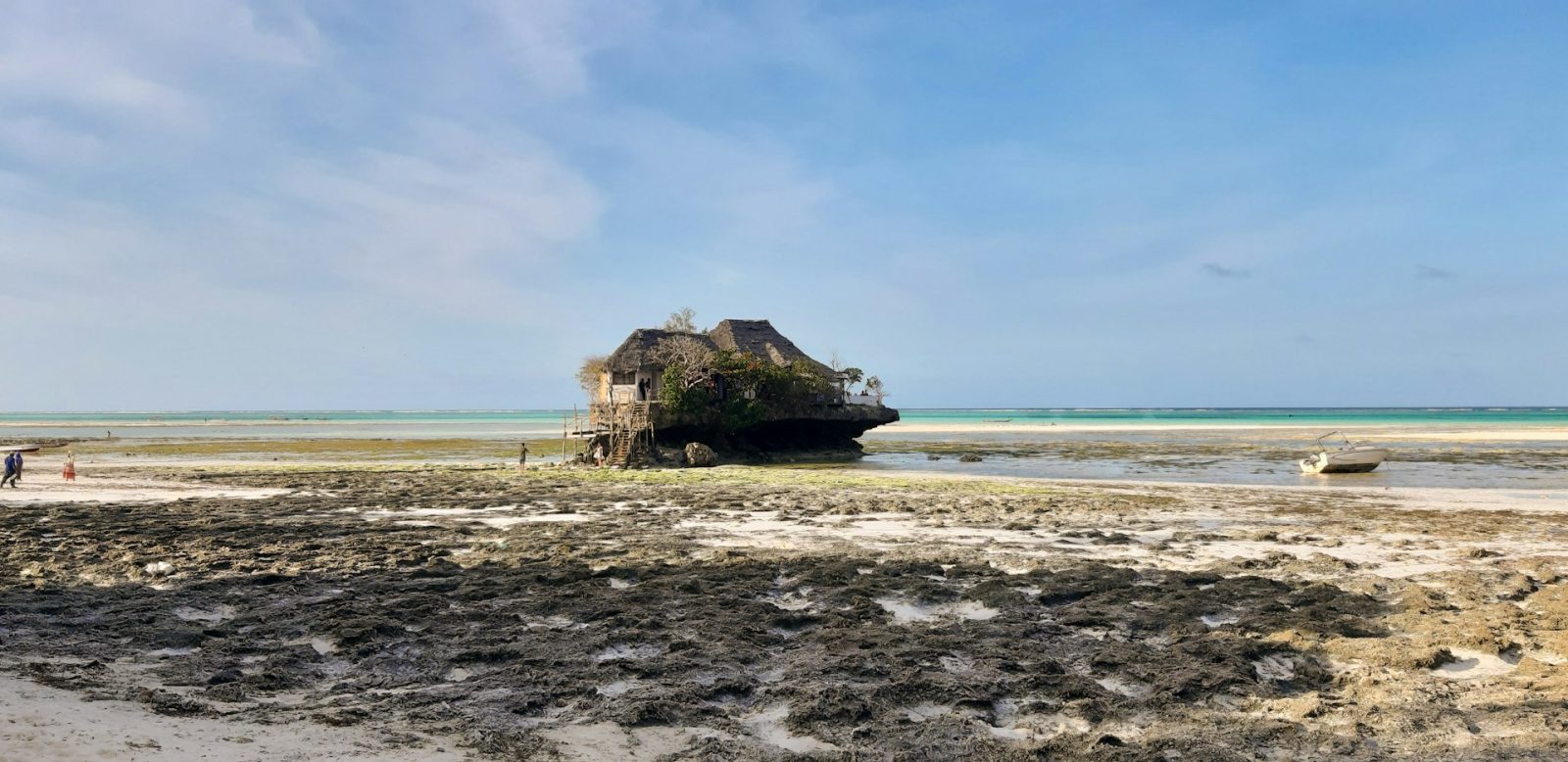 1-Day Zanzibar Mnemba Island, Jozani Forest and The Rock gallery image