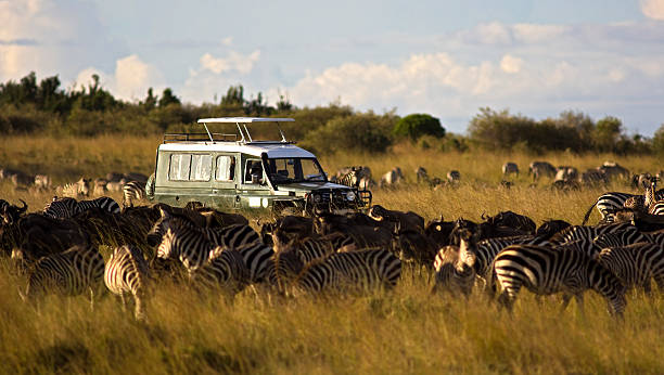 3-Day Masai Mara Budget Safari – Big Five Wildlife gallery image