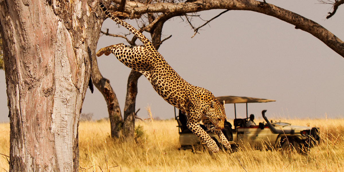 10-Day Masai Mara to Serengeti Via Isebania