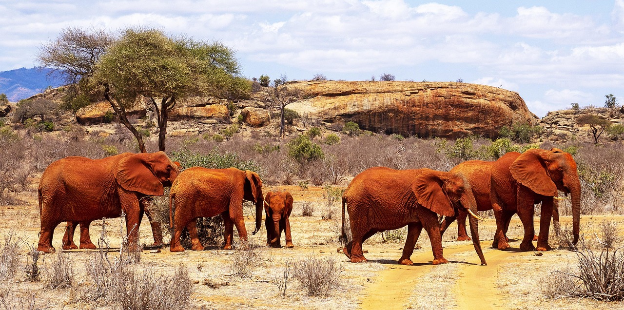4-Day Tsavo East Untamed Wilderness Safari