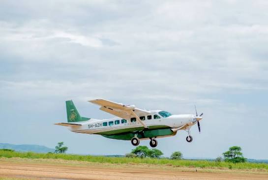 4-Day Serval Wildlife, Ngorongoro Crater & Serengeti –Fly Out