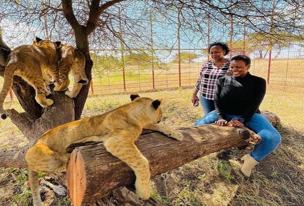 5-Day Aya Sophia Wildlife, Crater & Serengeti – Flyout Safari gallery image