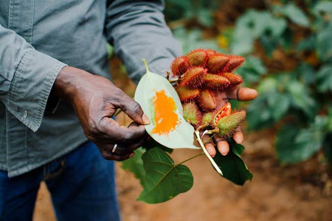 1-Day Zanzibar Stone Town & Spice Farm with Lunch gallery image