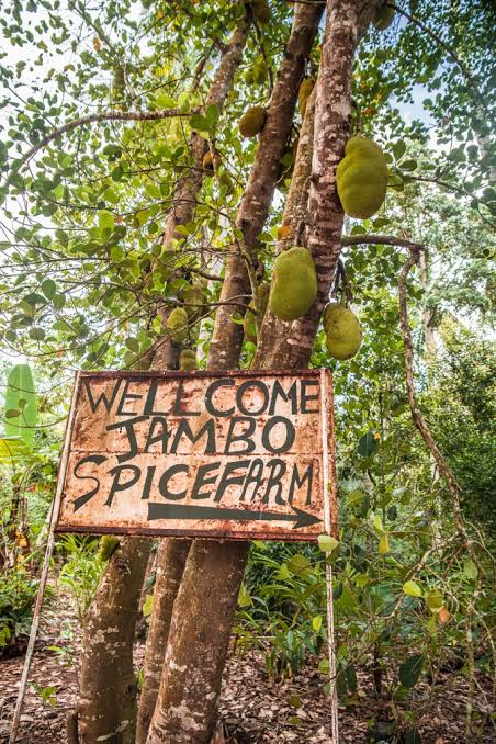 1-Day Zanzibar Stone Town & Spice Farm with Lunch gallery image