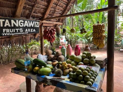 1-Day Zanzibar Stone Town & Spice Farm with Lunch gallery image