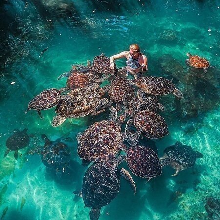 4-Day Zanzibar Safari Blue & Stone Town gallery image