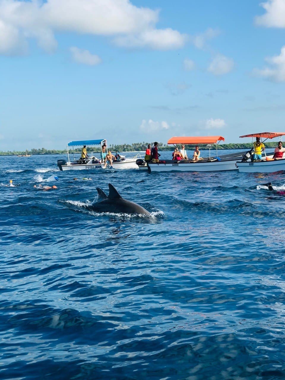 4-Day Zanzibar Safari Blue & Stone Town gallery image