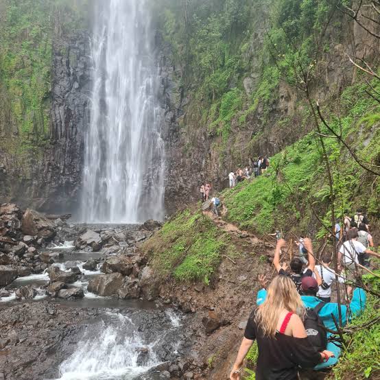 2-Day Arusha National Park Walking Safari+Materuni Waterfall gallery image