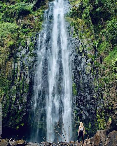 1-Day Materuni Waterfall & Coffee Tour gallery image