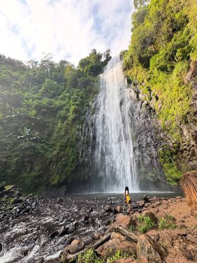 1-Day Materuni Waterfall & Coffee Tour gallery image