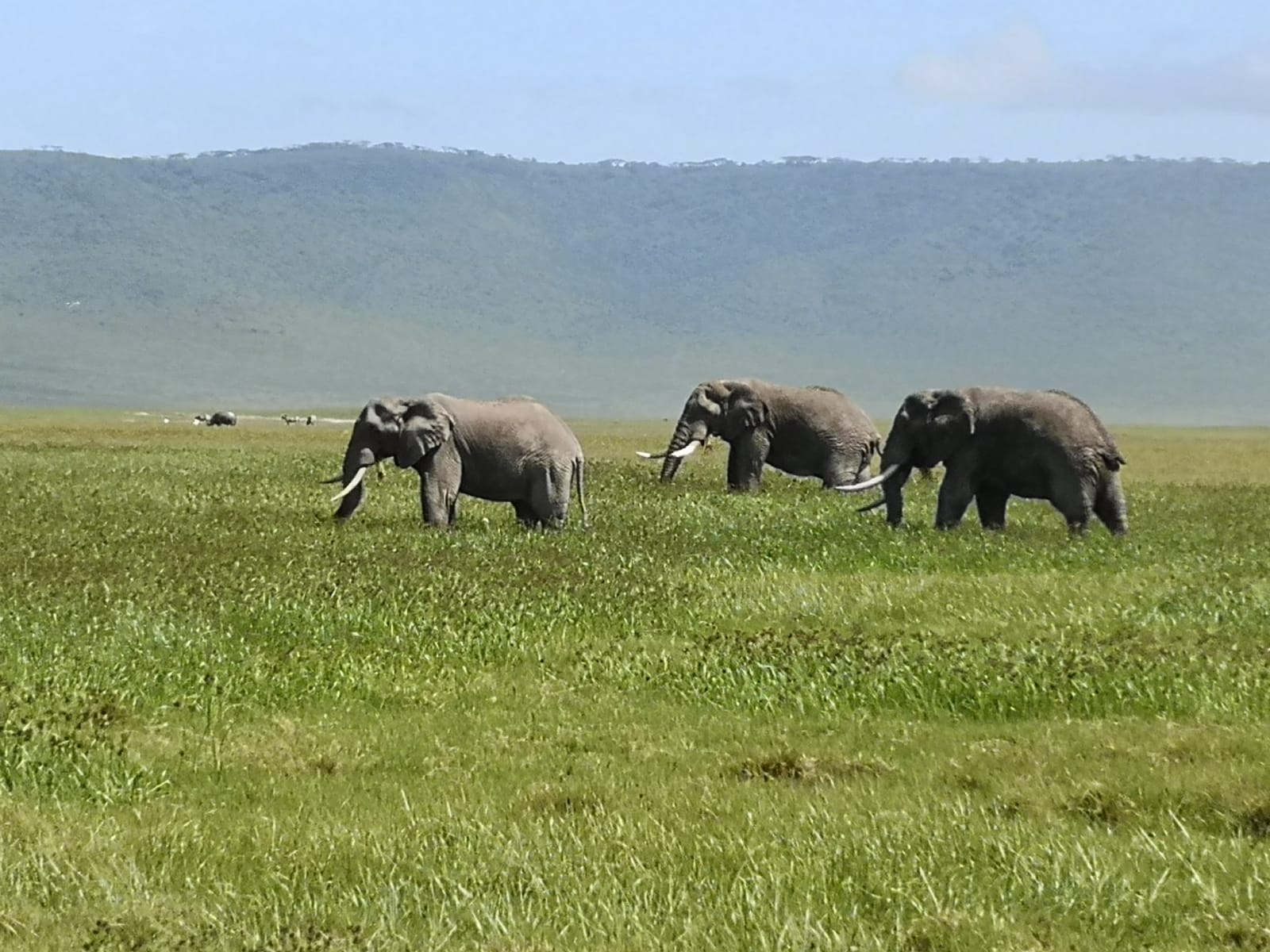 4-Day The Big Five Wildness Quest