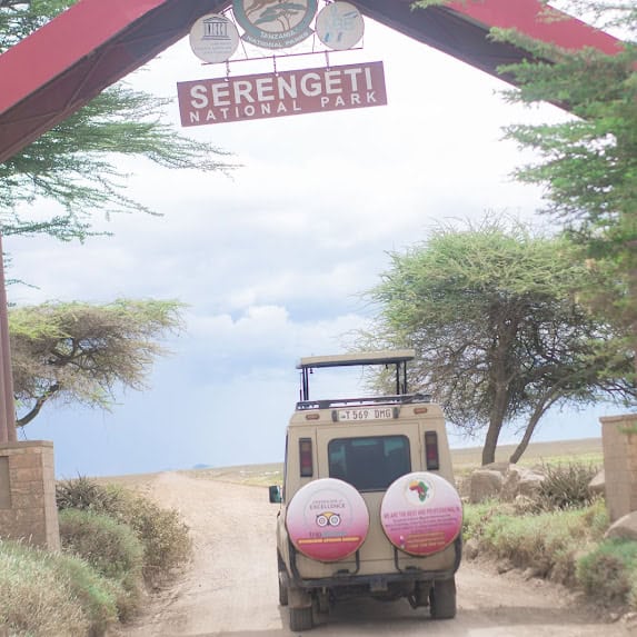 4-Day Ndutu Migration Safari Tanzania gallery image