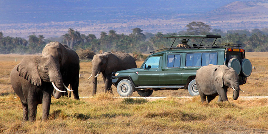 4-Day Masai Mara & Lake Nakuru National Park Wildlife Safari
