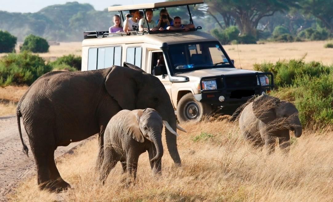 4-Day Masai Mara & Lake Nakuru National Park Wildlife Safari gallery image