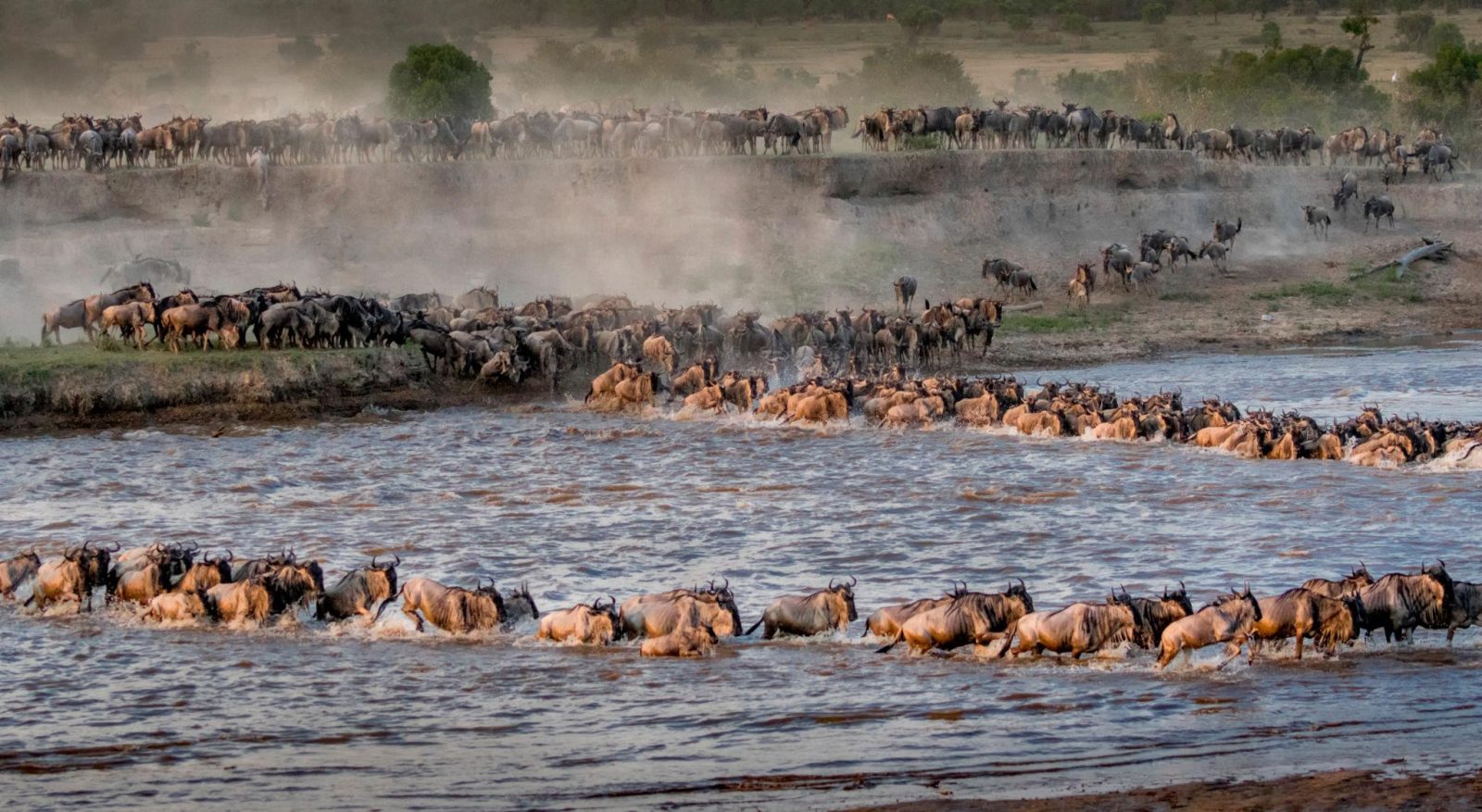 6-Day The Great Serengeti Migrations Encounter