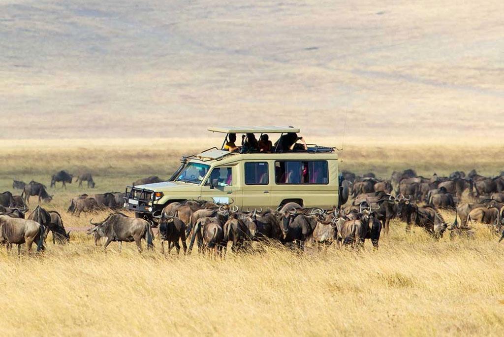 6-Day The Great Serengeti Migrations Encounter gallery image