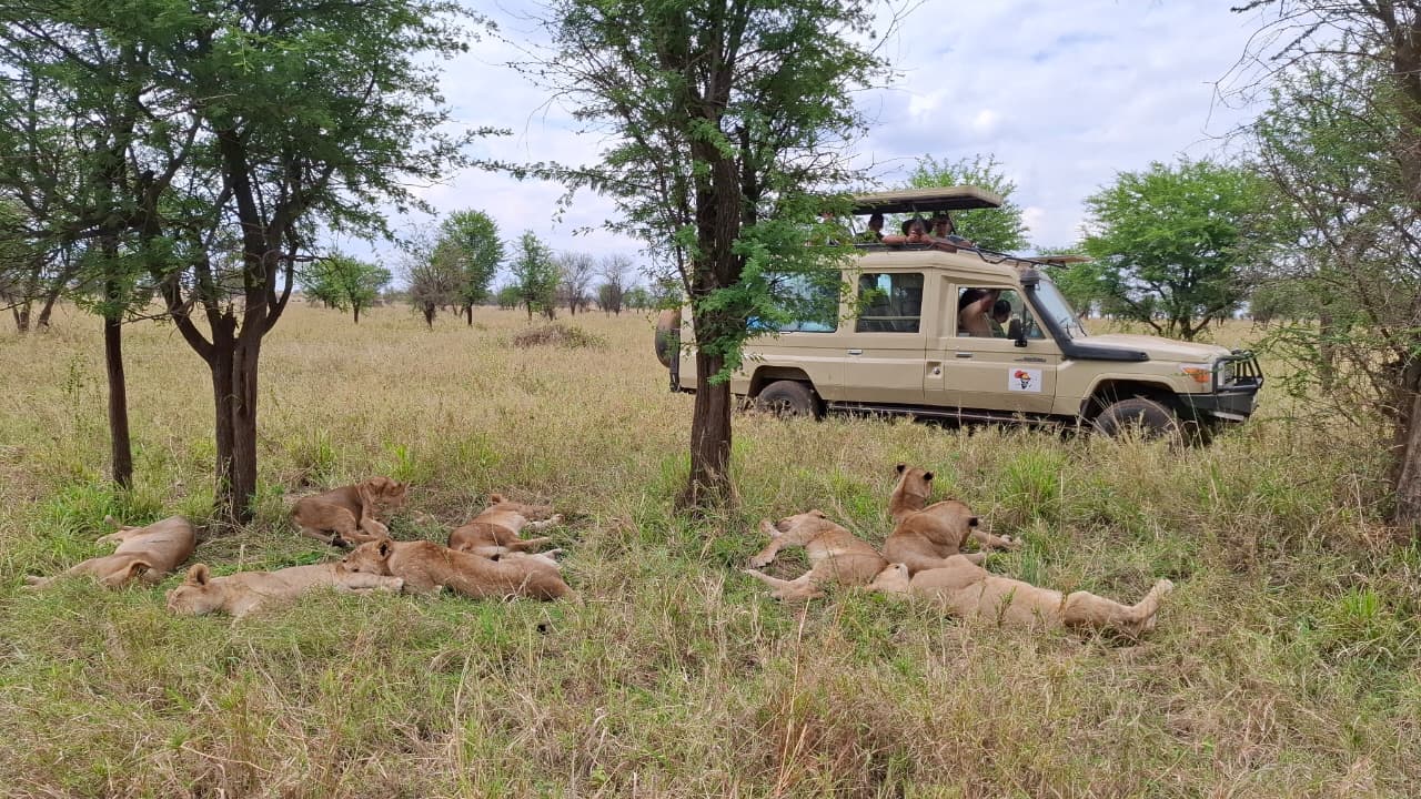 3-Day Masai Mara Flying Inn Safrari gallery image