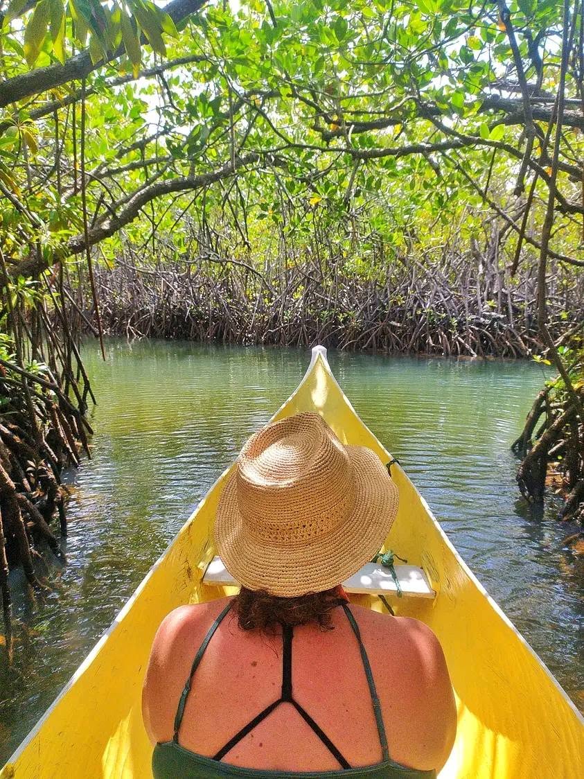 5-Day Andasibe Wildlife Tour with Palmarium Reserve gallery image