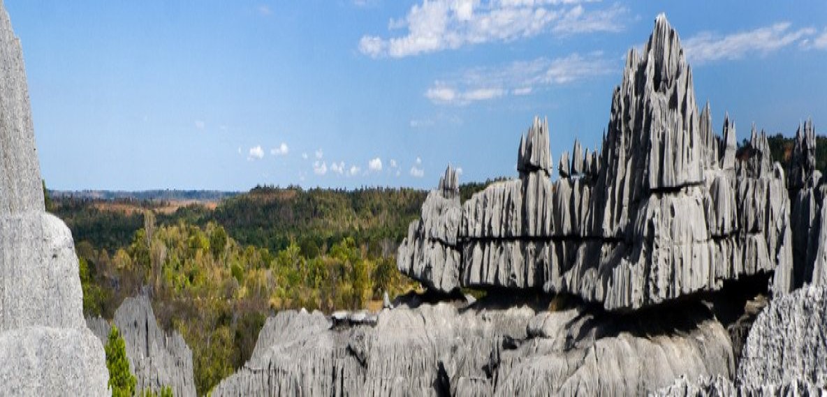 4-Day Budget Tour to Tsingy of Bemaraha, Kirindy, Baobab gallery image