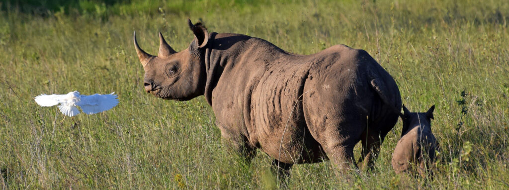 3-Day Adventure Safari to Murchison Falls National Park gallery image