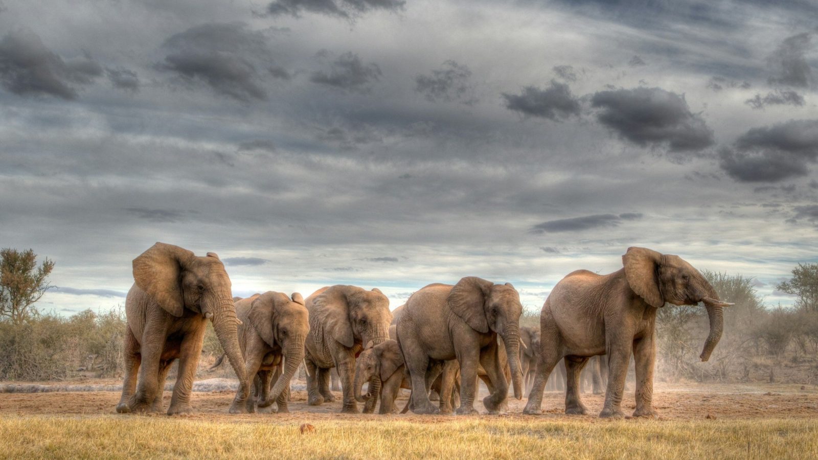 3-Day Adventure Safari to Murchison Falls National Park gallery image