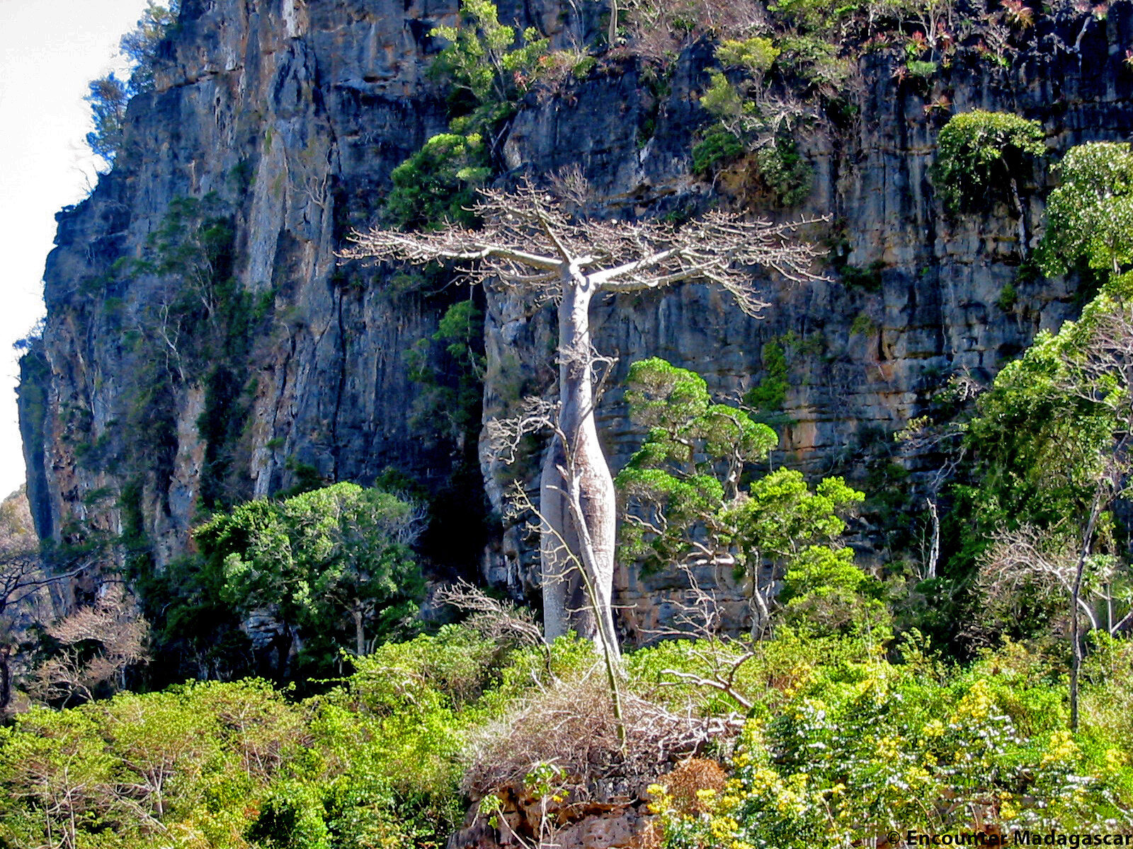 6-Day North Tour from Antsiranana to Nosy Be gallery image