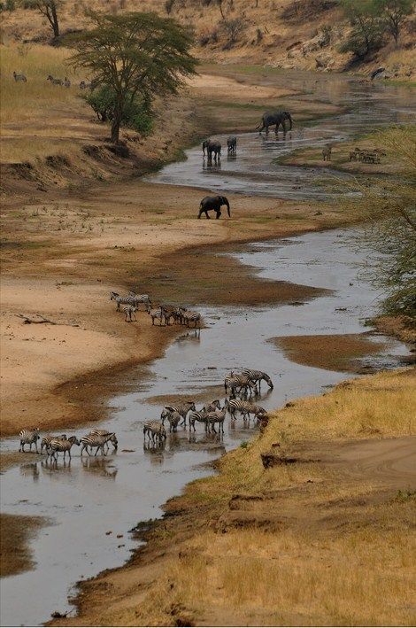 4-Day Private Safari to Serengeti and Ngorongoro safari tour