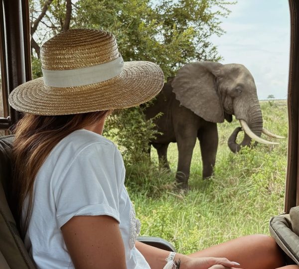 2-Day Best of Tarangire & Ngorongoro Tour from Zanzibar safari tour