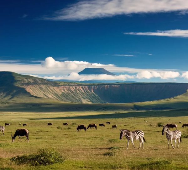 4-Day Tanzania Big 5 Budget Tour safari tour