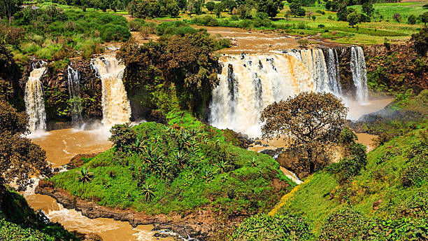 8-Day Discover Northern Ethiopia Tours safari tour