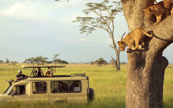 5-Day Tanzania Safari, Waterfalls and Coffee Tour