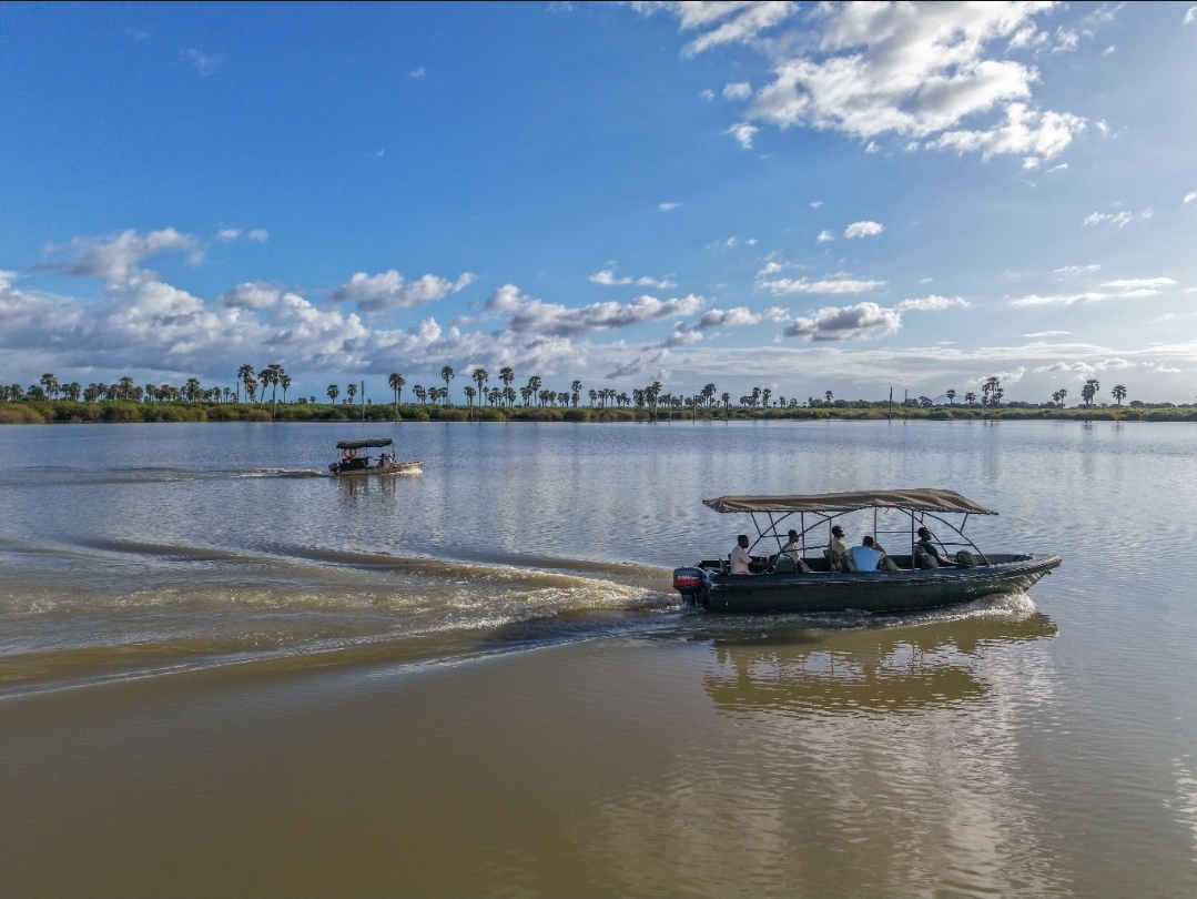 Boat Safaris