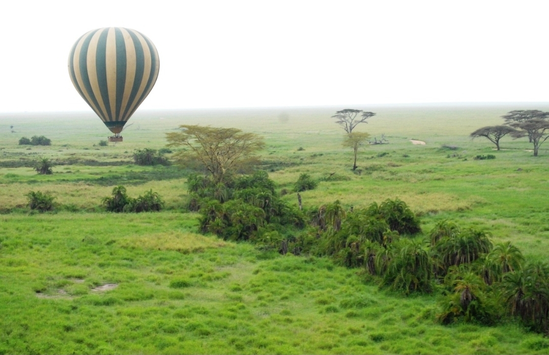 Hot-Air Balloon