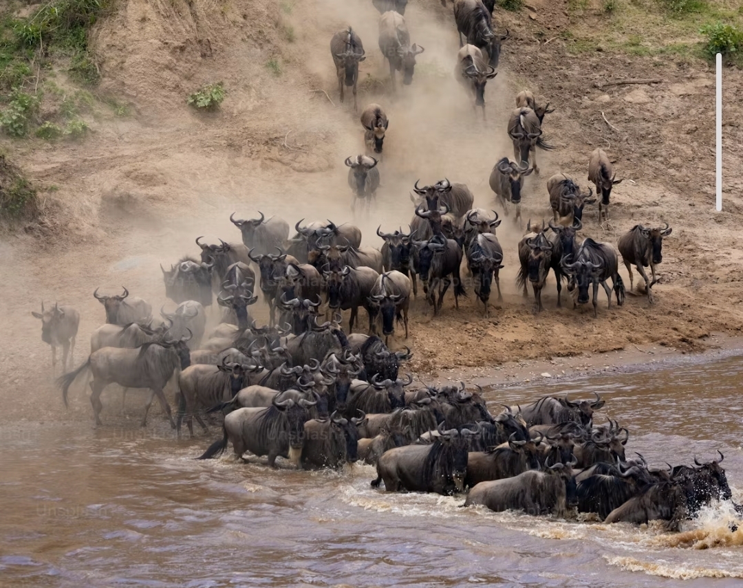 Great Migration