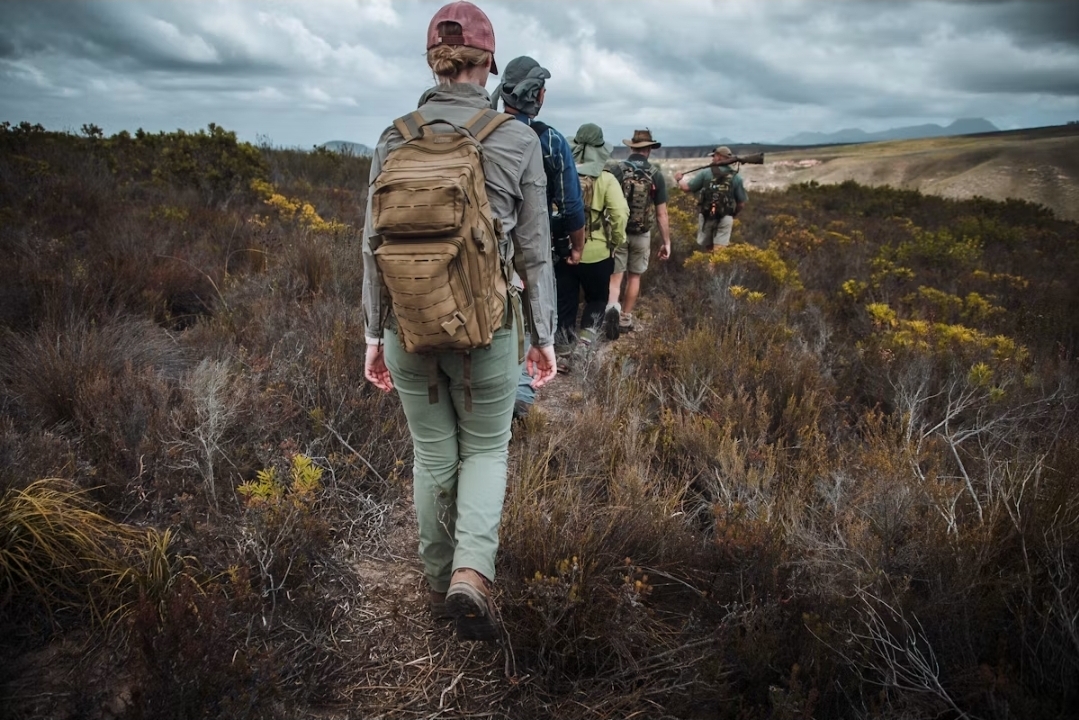 Walking Safaris