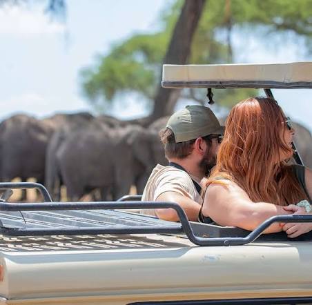 Honeymoon Safari