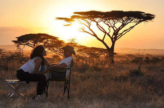 Honeymoon Safari